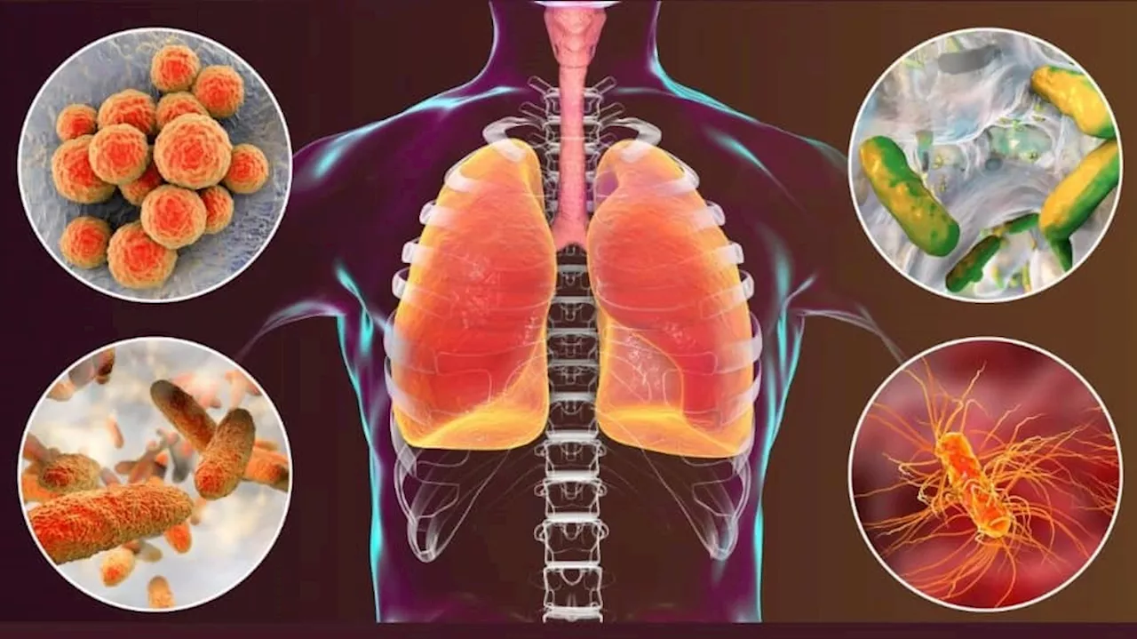 Lungs Detox: நுரையீரலில் சேரும் நச்சுக்களை நீக்க... நீங்கள் செய்ய வேண்டியவை