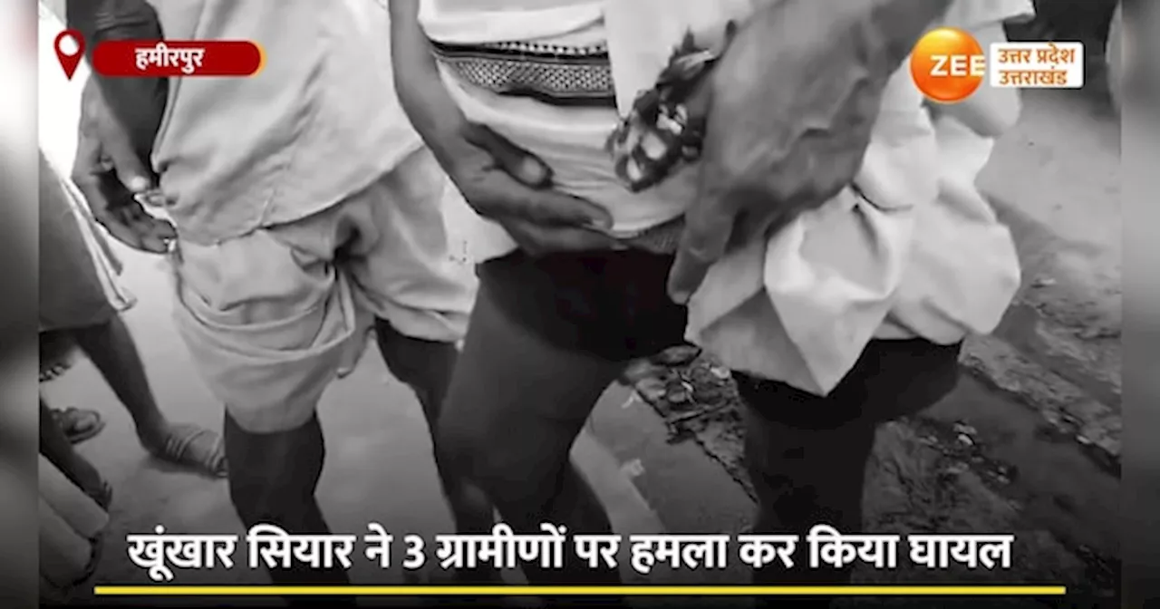 Video: घर में घुसे खूंखार सियार का अटैक, ग्रामीणों ने पीट-पीटकर मार डाला