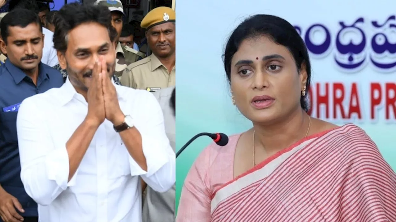 YS Sharmila: ఇద్దరు బిడ్డలు ఉన్న జగన్‌ ఇంత నీచానికి పాల్పడతారా? వైఎస్‌ షర్మిల ఆగ్రహం