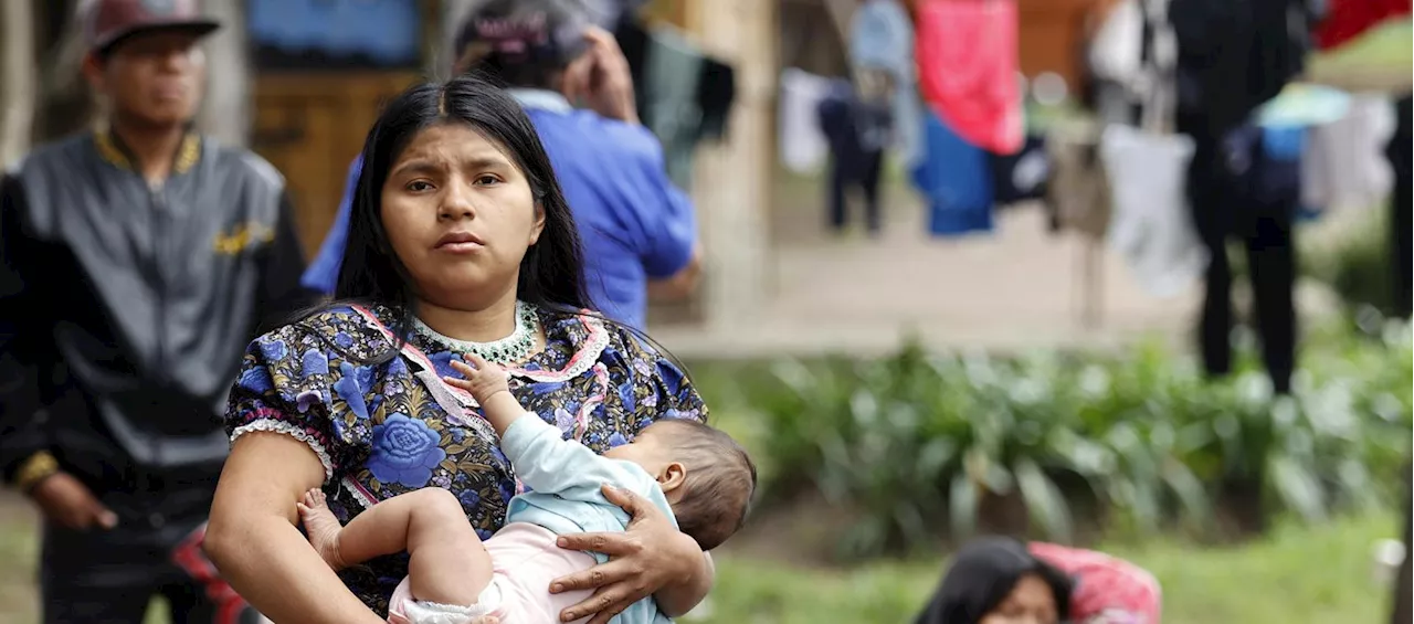 Más de 700 indígenas asentados en parque de Bogotá regresan a su territorio