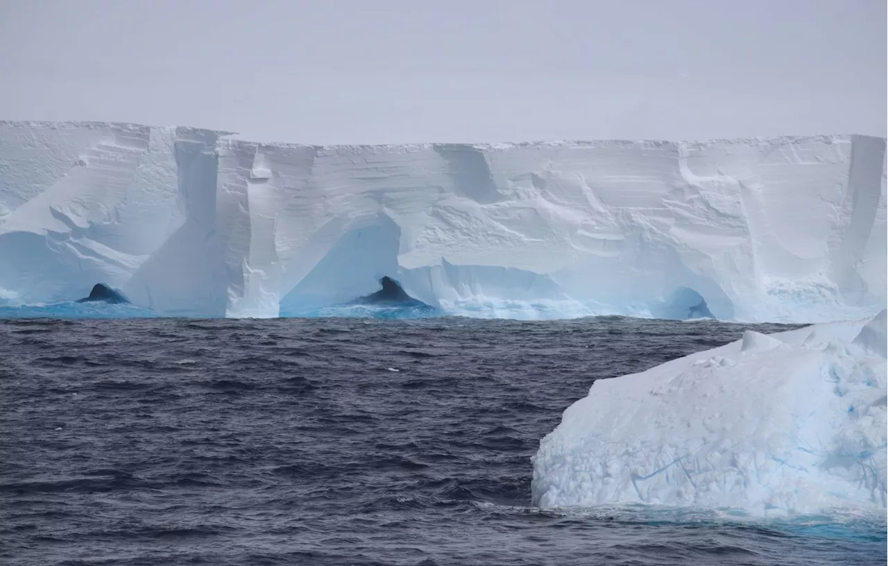 Réchauffement des océans : Les vagues de chaleur marines ont presque doublé depuis vingt ans