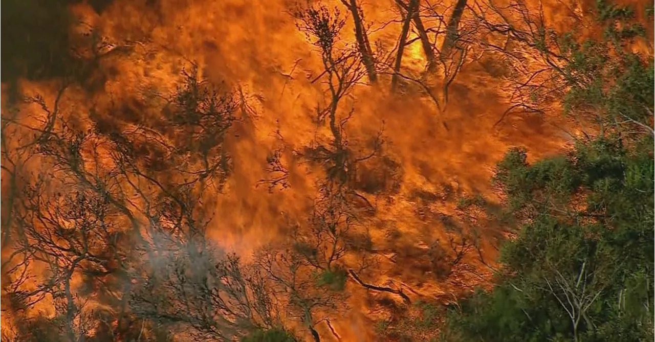 Residents warned to prepare for warm summer as bushfire season starts