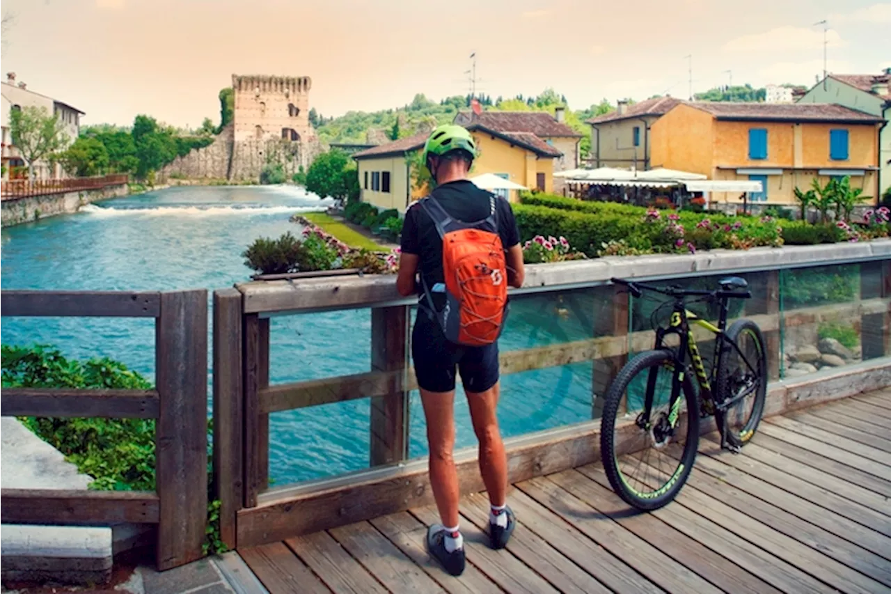 Il Garda in bici, la sponda veronese tra cantine e frantoi