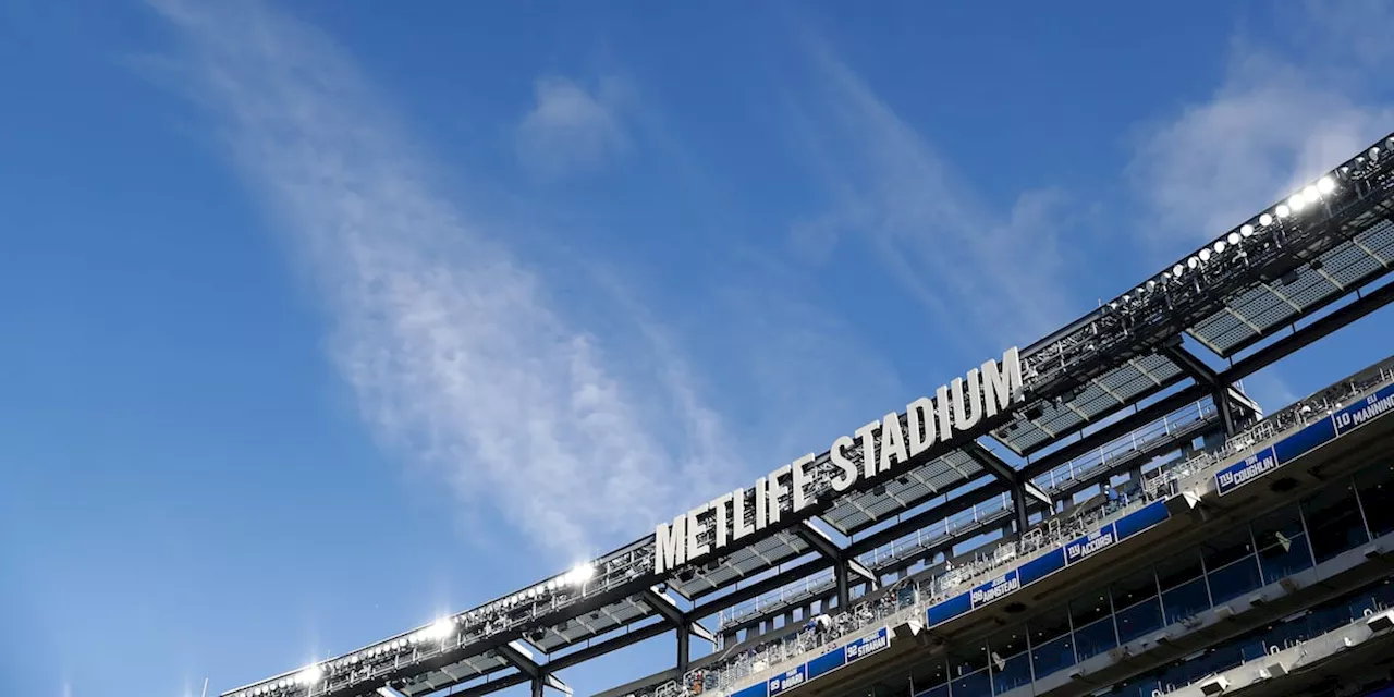 FEMA, NFL partner to designate 4 stadiums as disaster shelters