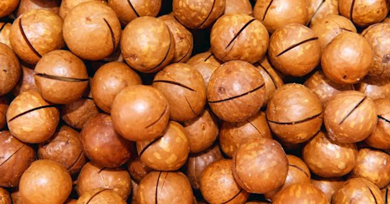 El fruto seco que pocos conocen y que está lleno de colágeno, ayuda a bajar de peso y reduce el colesterol