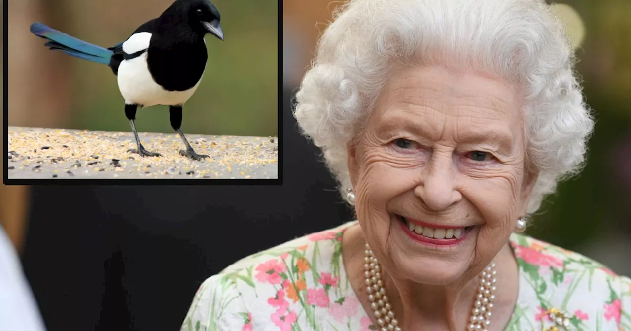 Late Queen and David Attenborough named among greatest UK cultural figures