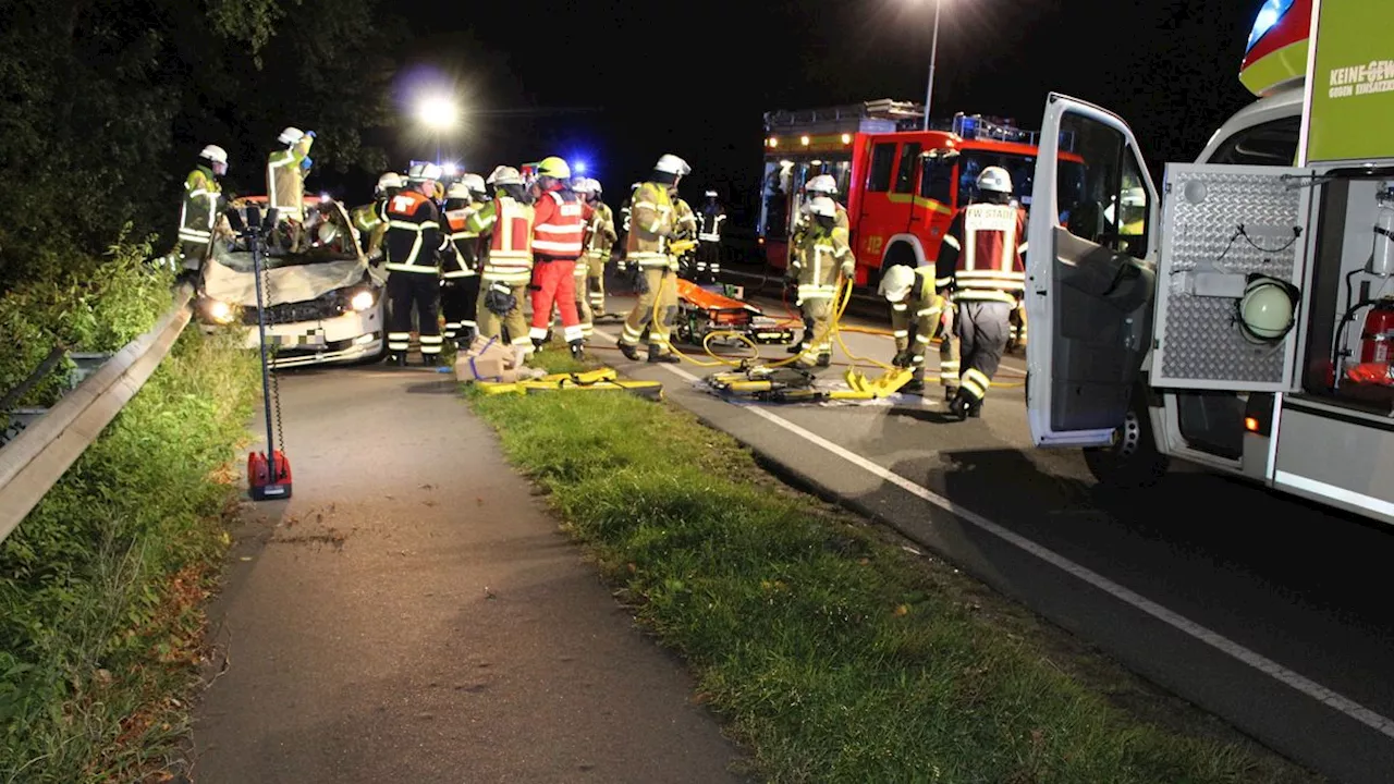 Unfall in Niedersachsen: Taxi kollidiert mit entlaufenen Pferden, Fahrer und Tiere tot