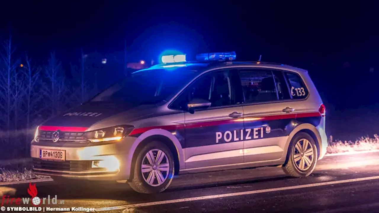 Oö: Polizisten retten in Linz zu ertrinken drohenden Mann aus Donau