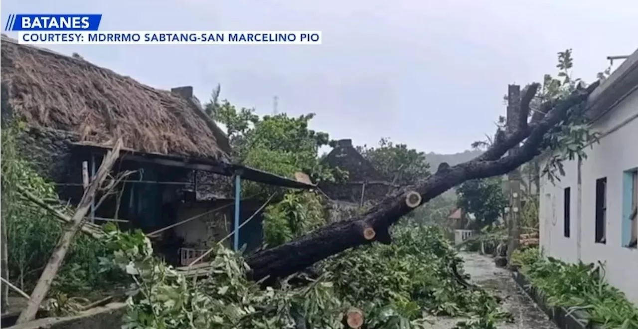 Typhoon Julian damages roofs, topples trees in Batanes