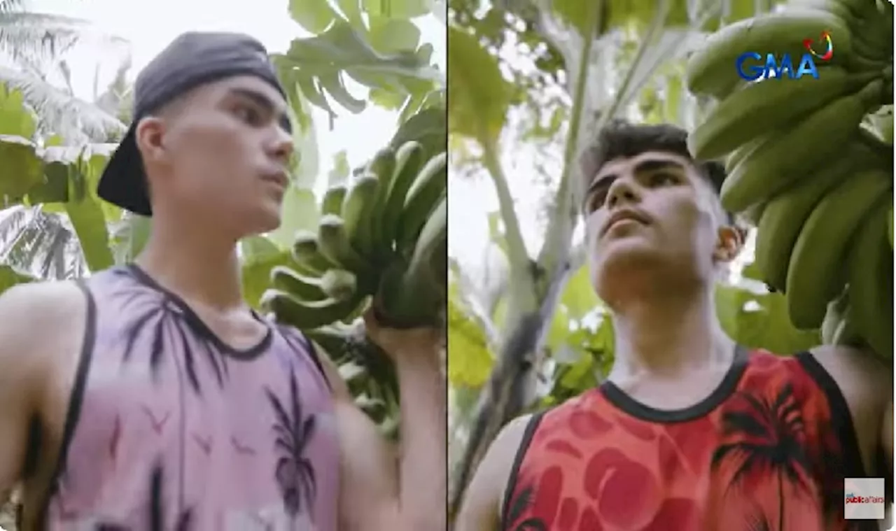 Viral: Twin brothers working in the fields despite their beauty