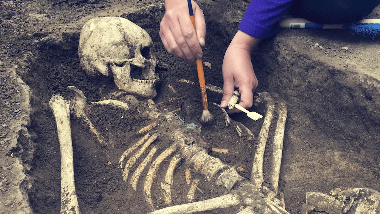 Near 1,000-year-old 50 Viking skeletons discovered, reveal old burial customs