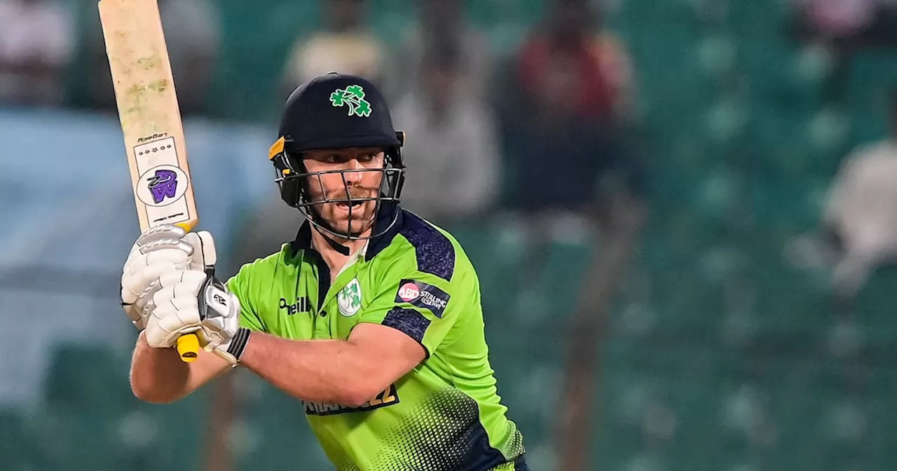 Adair brothers star with bat and ball as Ireland beat South Africa to level T20 series