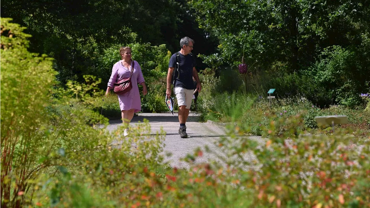 Un nouveau « Jardin remarquable » dans le Nord, au Conservatoire botanique national de Bailleul