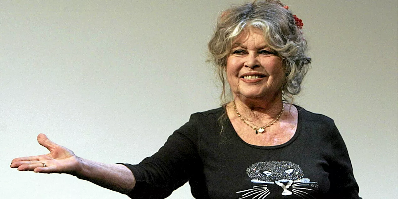 Pour ses 90 ans, Bardot croule sous les cadeaux des fans