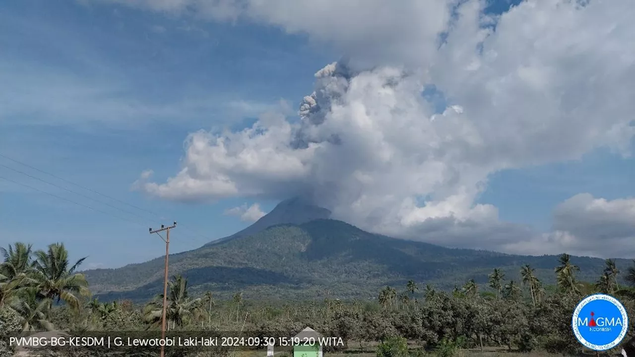 Gunung Lewotobi Laki-Laki Erupsi Lagi, Kolom Abu Capai 1.000 Meter, Patuhi Radius Bahaya!