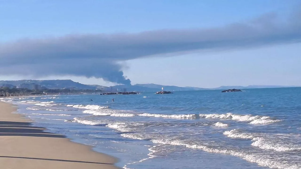 Incendio di vaste proporzioni in azienda industriale a Pineto