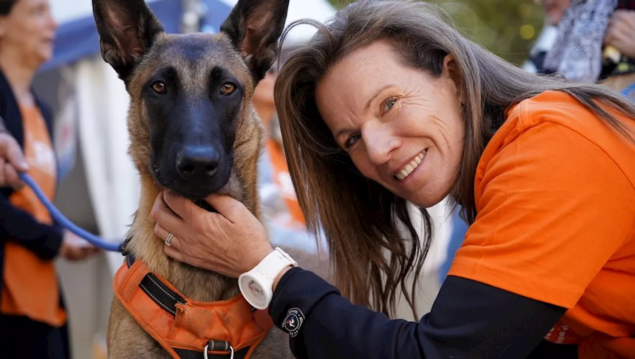 'Les actes de cruauté contre les animaux sont en recrudescence' : Cœur animal à Montpellier veut sensibiliser