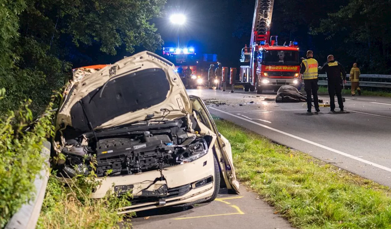 Unfall-Drama im Hamburger Umland: Zwei Pferde tot, Taxifahrer in Lebensgefahr