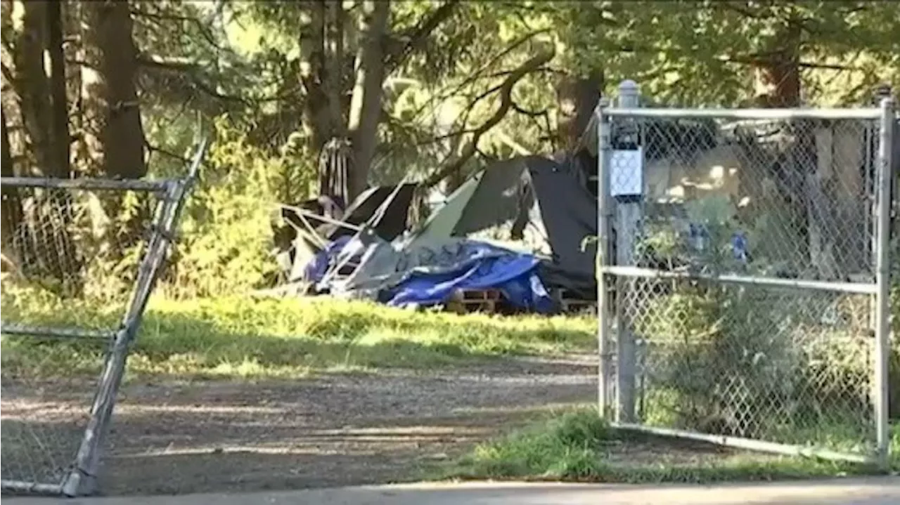 WSP investigating human remains found in encampment as homicide