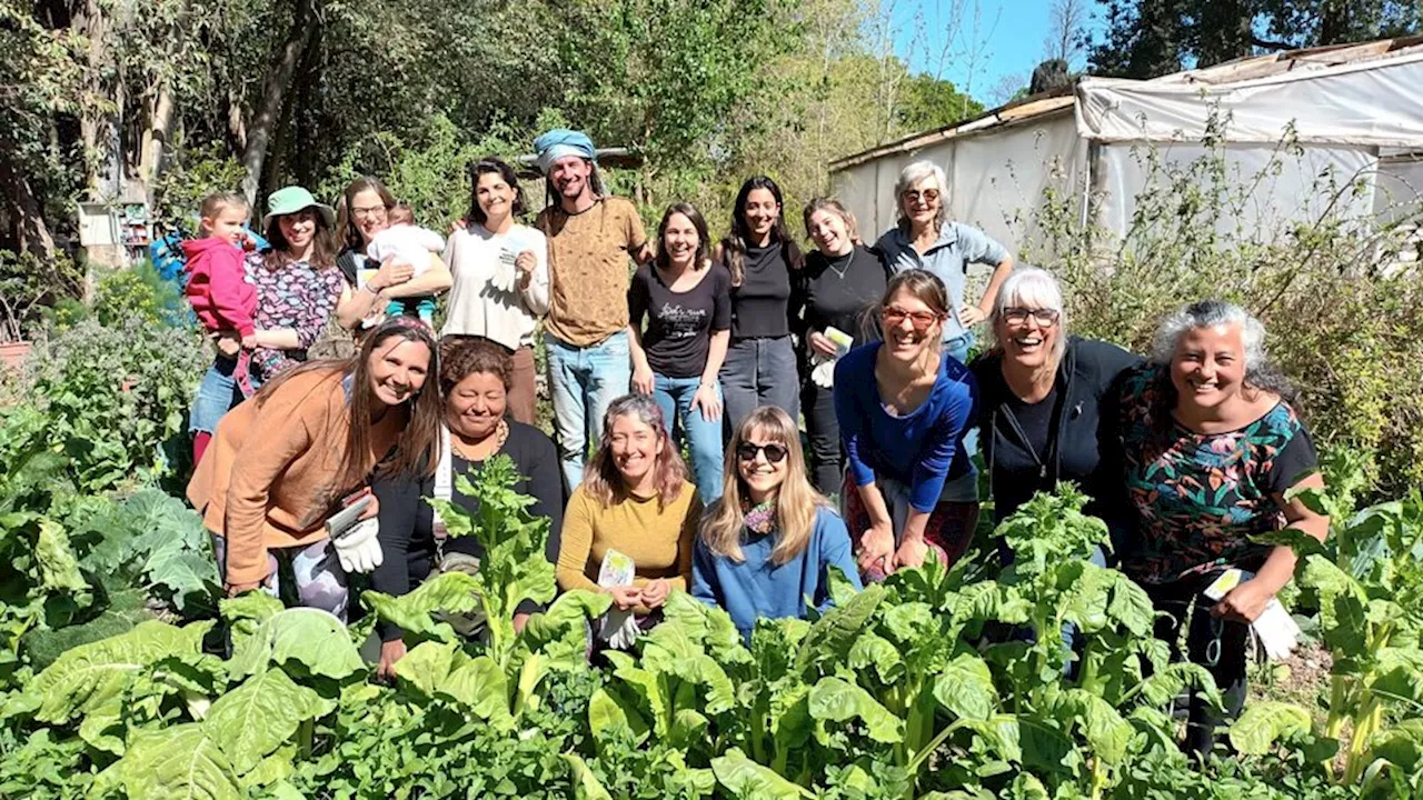 Un papel central en la producción agrícola