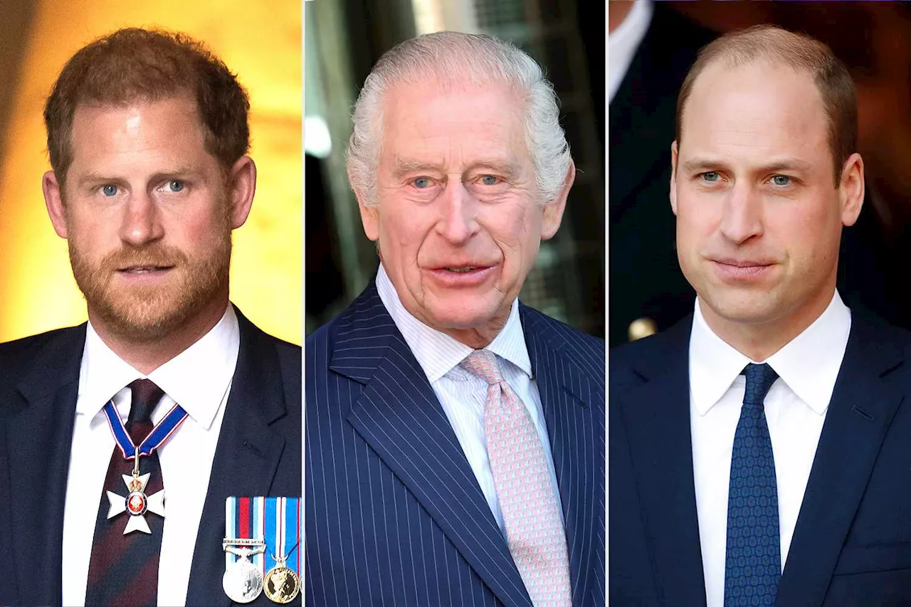 Prince Harry Won't See King Charles or Prince William During U.K. Visit