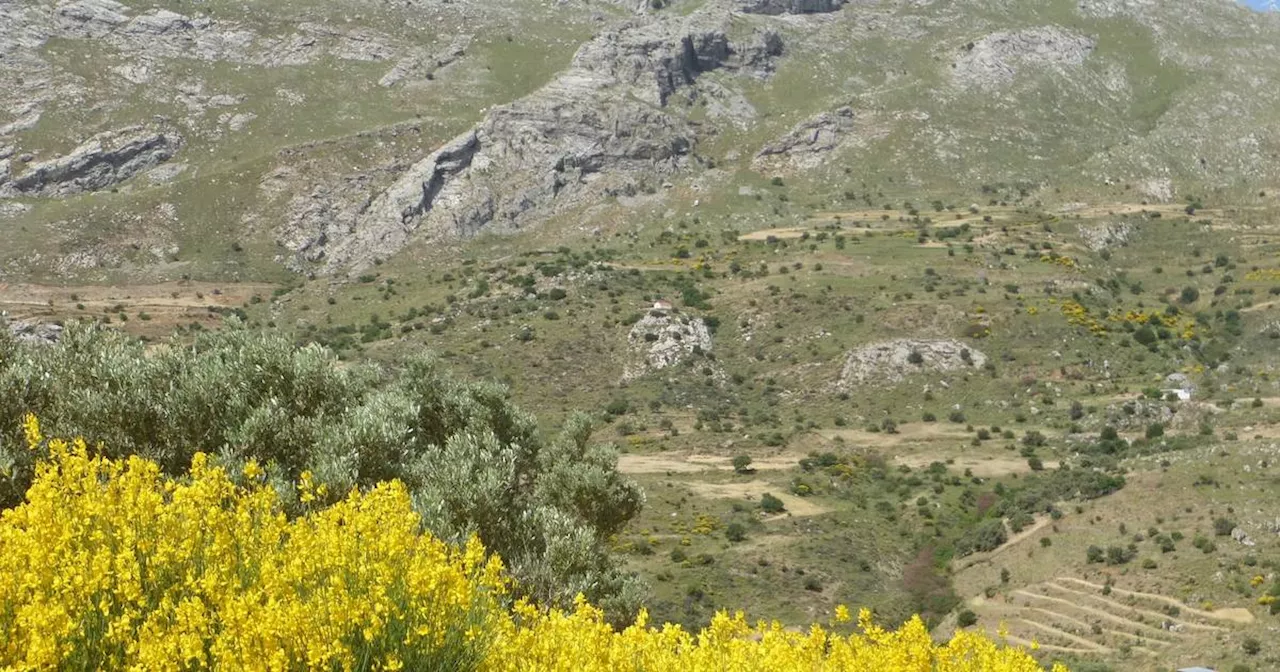 Kreta: Deutscher Tourist stirbt bei Wanderung