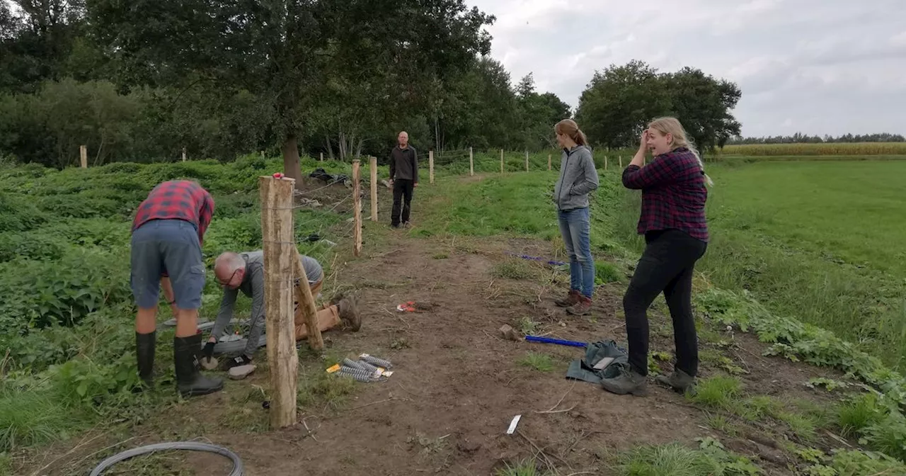 Vrijwilligers die wolfwerende rasters plaatsen: 'Overheid, kom met geld over de brug'