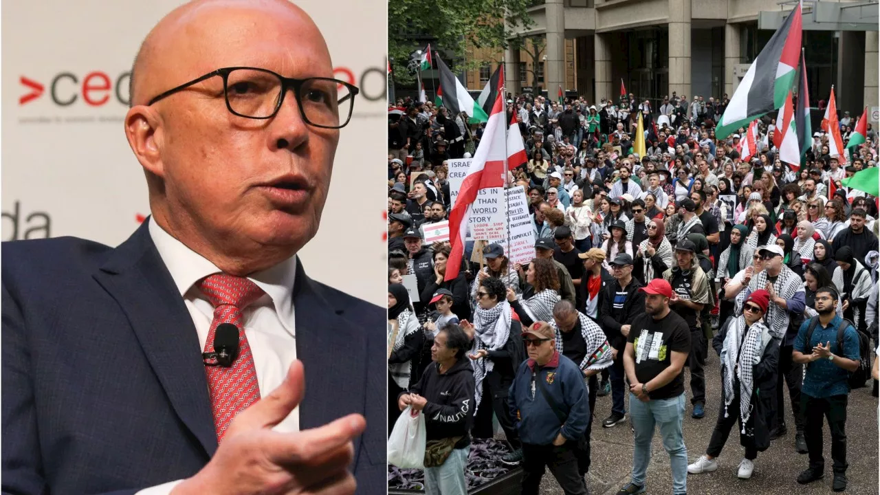 ‘Completely unacceptable’: Dutton demands action over pro-Hezbollah protests