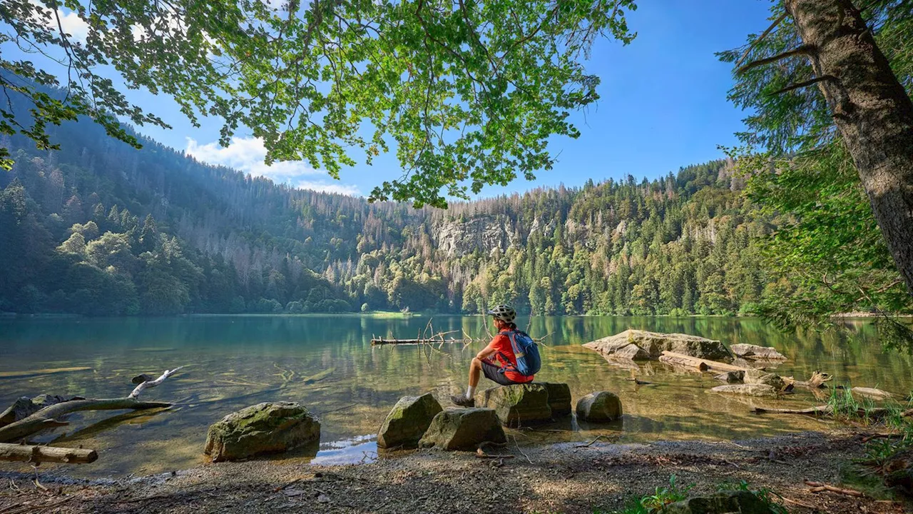 Brückentage 2025: So können Sie Ihren Urlaub verlängern