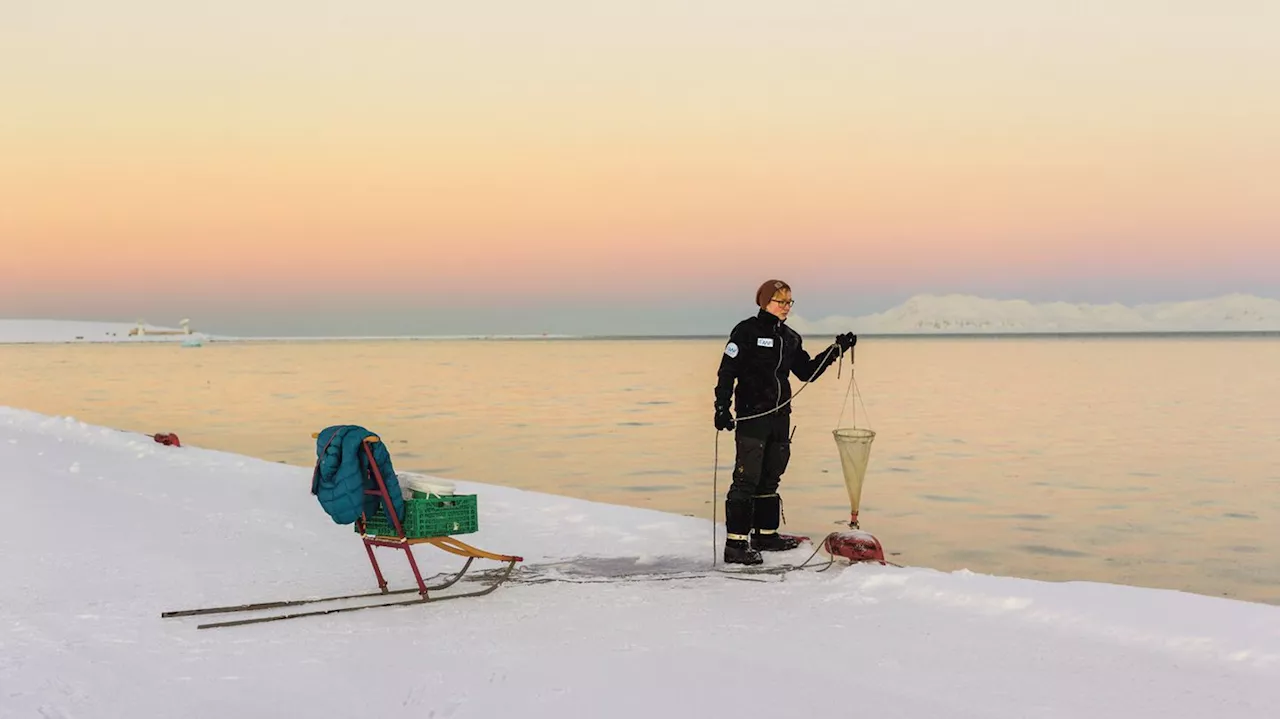 Menschen in Eis und Einsamkeit – der Fotograf Paolo Verzone besucht Spitzbergen