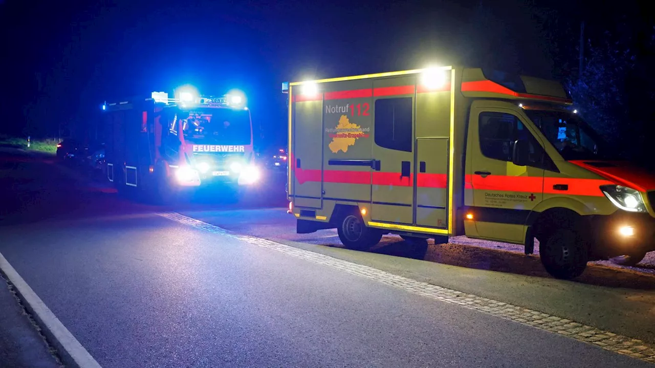 Unfall: Taxi kollidiert mit Pferden – Fahrer und Tiere sterben