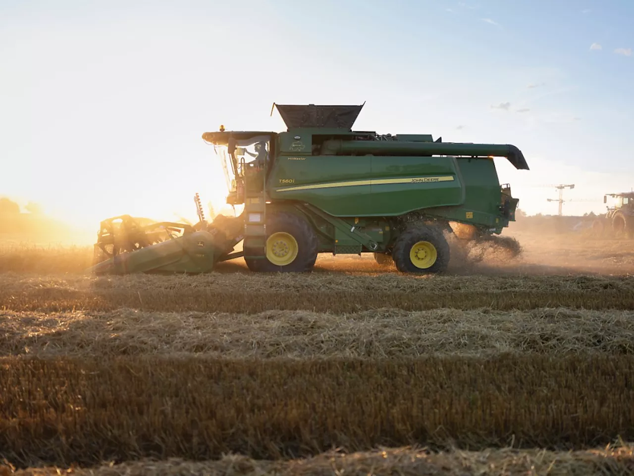 Bund reagiert auf schlechte Brotgetreide-Ernte