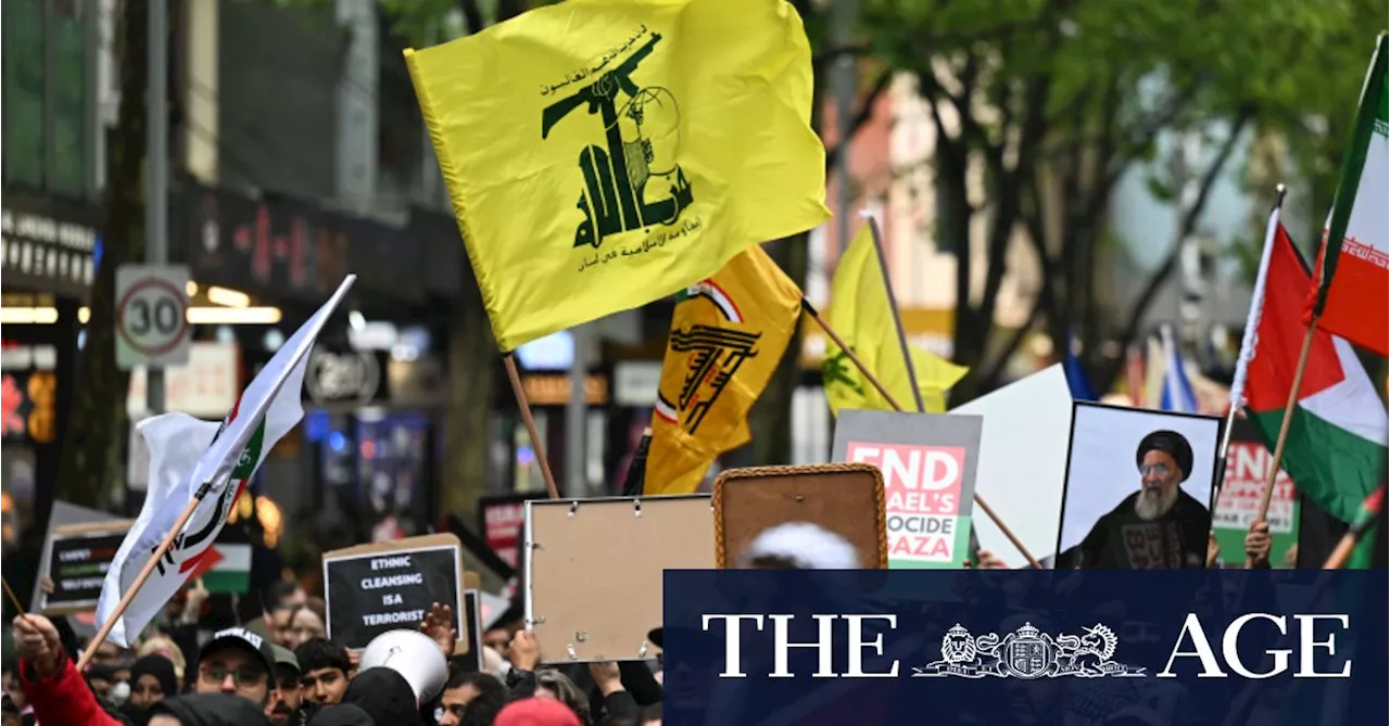 Hezbollah flag-waving protesters risk jail, AFP warns