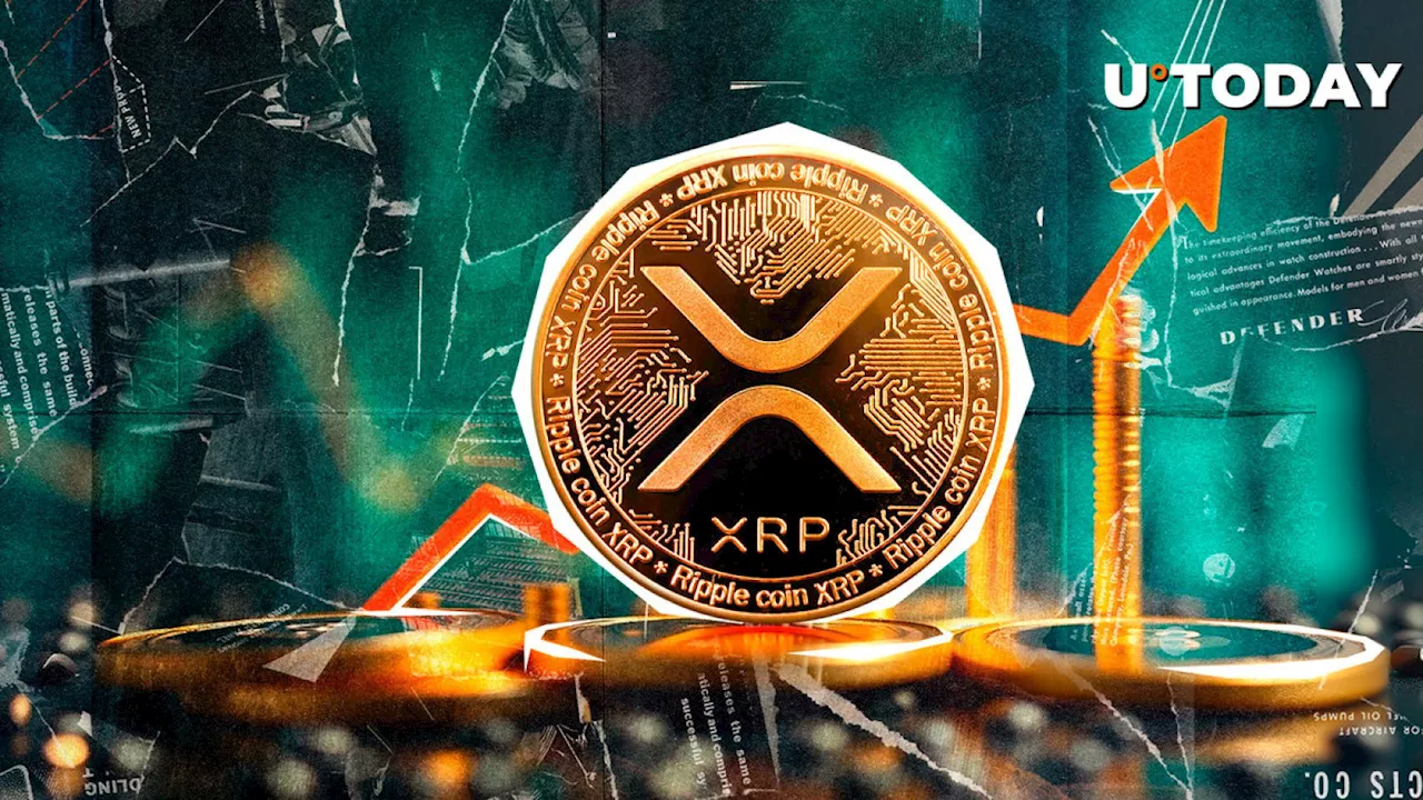 XRP Rockets 800% in Fund Flows as XRP Price Goes Parabolic