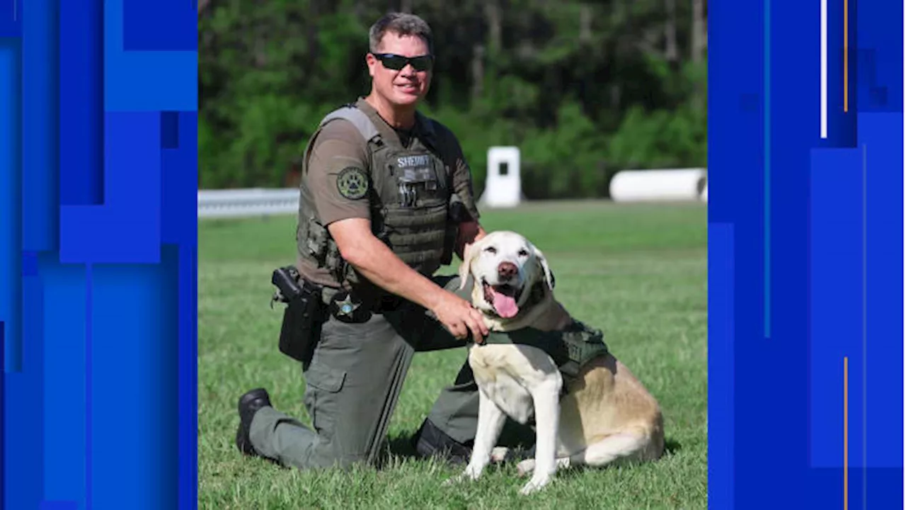 St. Johns County K9 passes away after more than 9 years of service