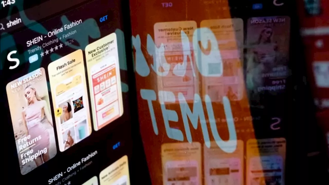 Safety regulators call for investigation into Shein, Temu