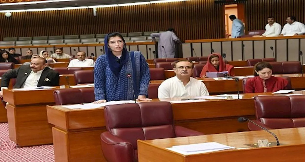 Asifa Bhutto Zardari raises question on gas and load shedding crisis in NA