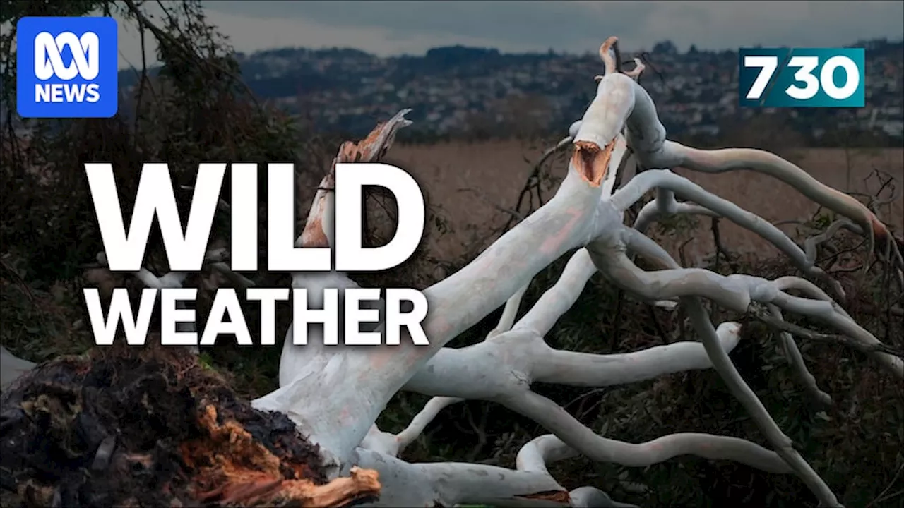 Wild weather continues across Australia