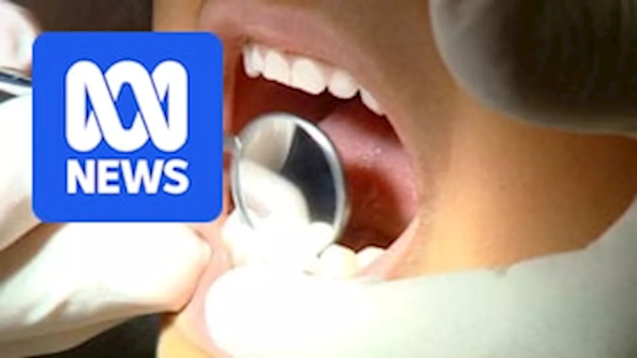 Labor resists internal push for dental in Medicare, saying focus is on strengthening general practice