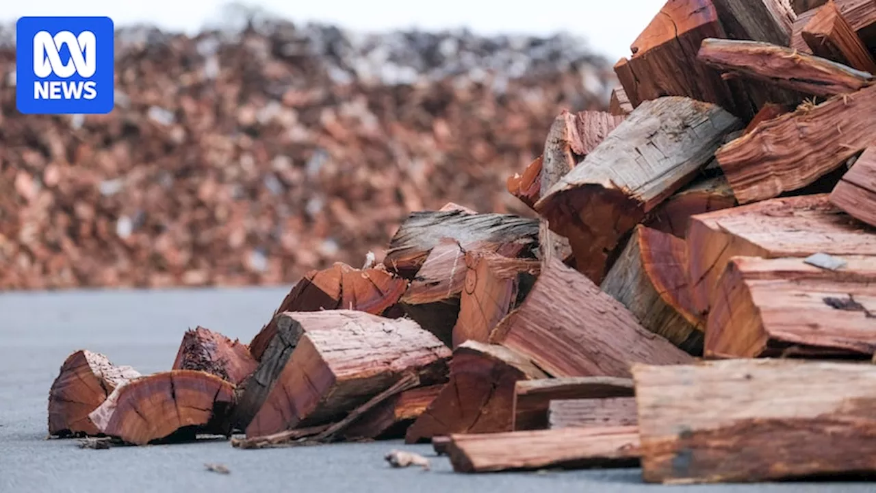 WA firewood suppliers record huge supply glut amid cost of living crisis, online competition