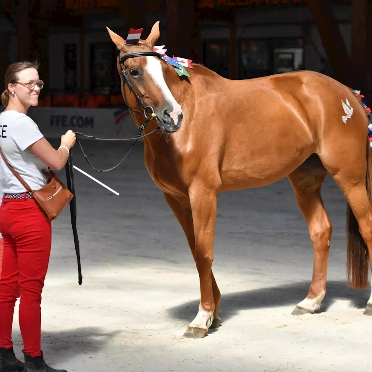 Ille-et-Vilaine : cette cavalière a été médaillée aux championnats de France