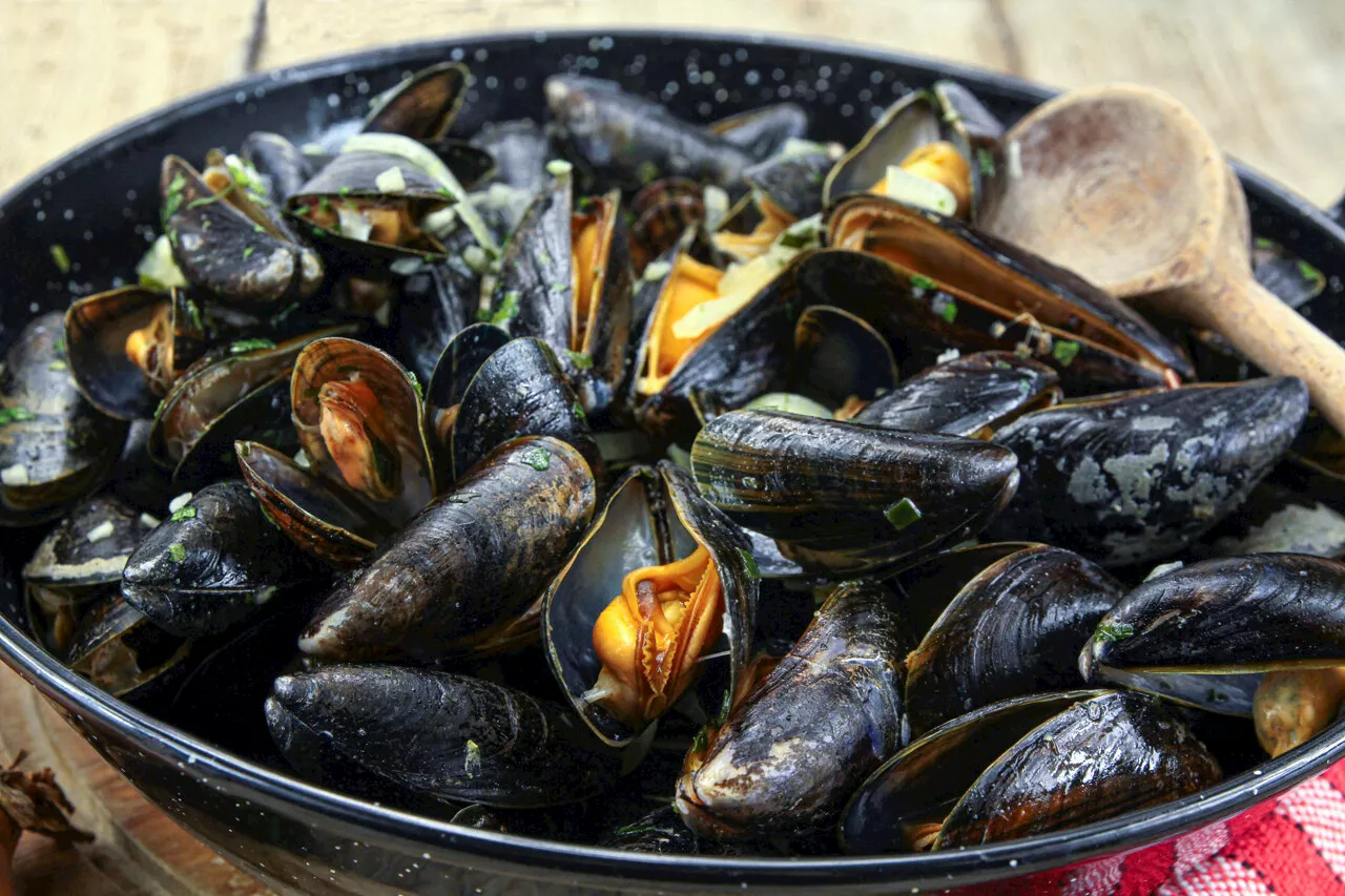 Leclerc : rappel massif de moules dans toute la France, leur date de péremption est fausse