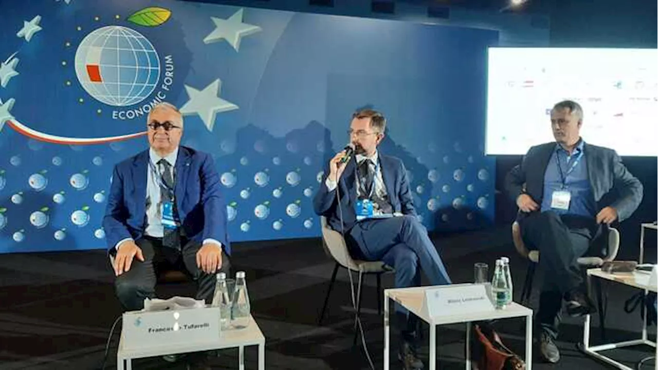 Tufarelli, allargamento Ue con road map e commissario ad hoc