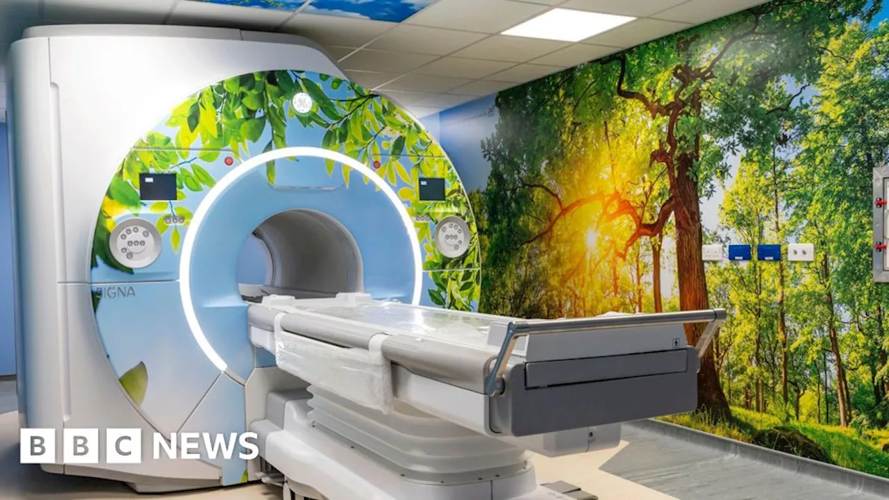 Addenbrooke's MRI scanner given nature makeover to calm patients