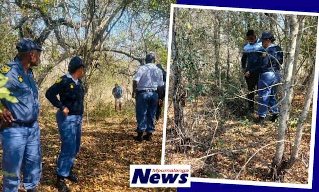 2 minors raped in Mpumalanga, perpetrator at large