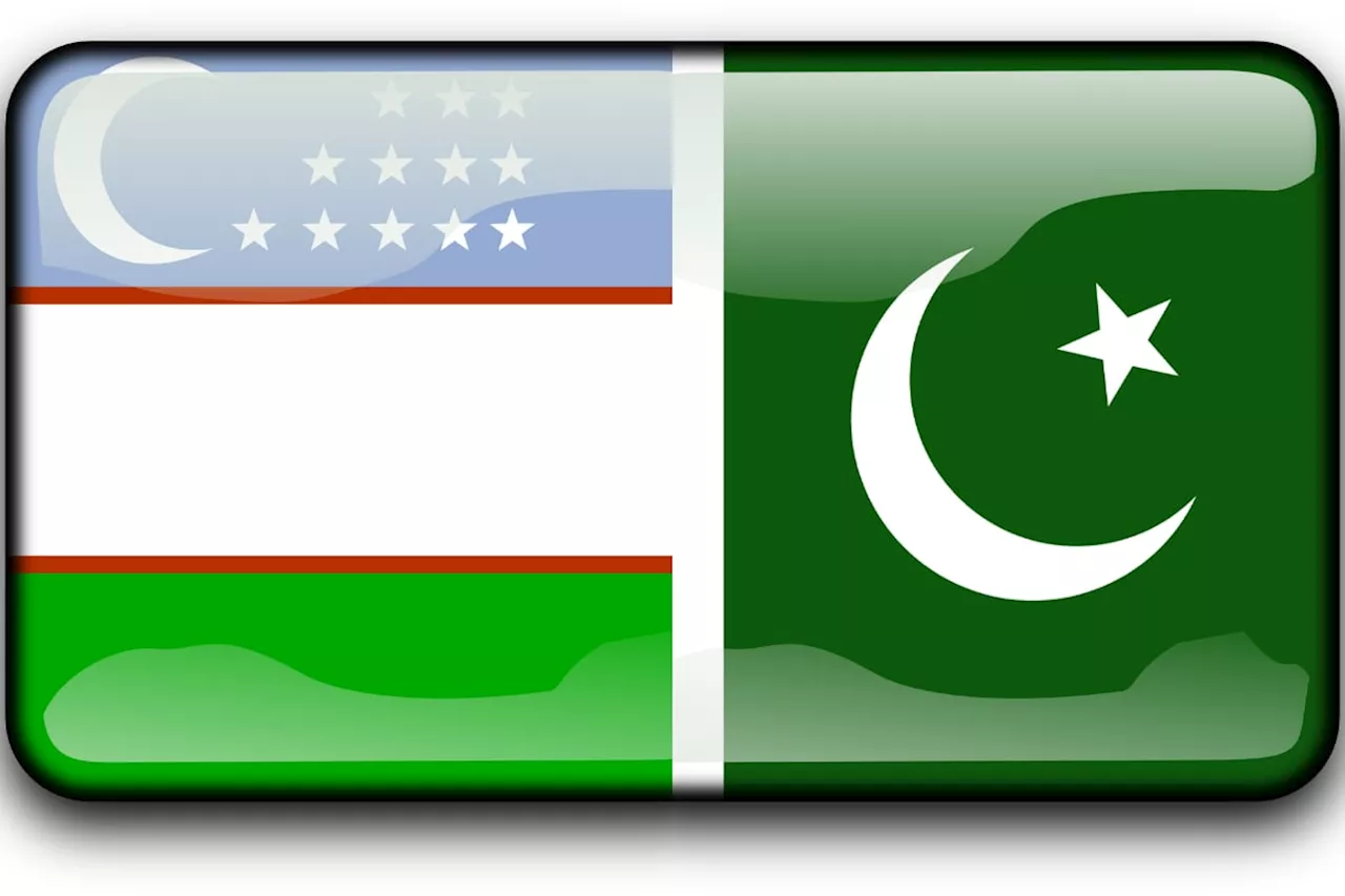 Pakistan, Uzbekistan to increase cooperation in IT and Telecom