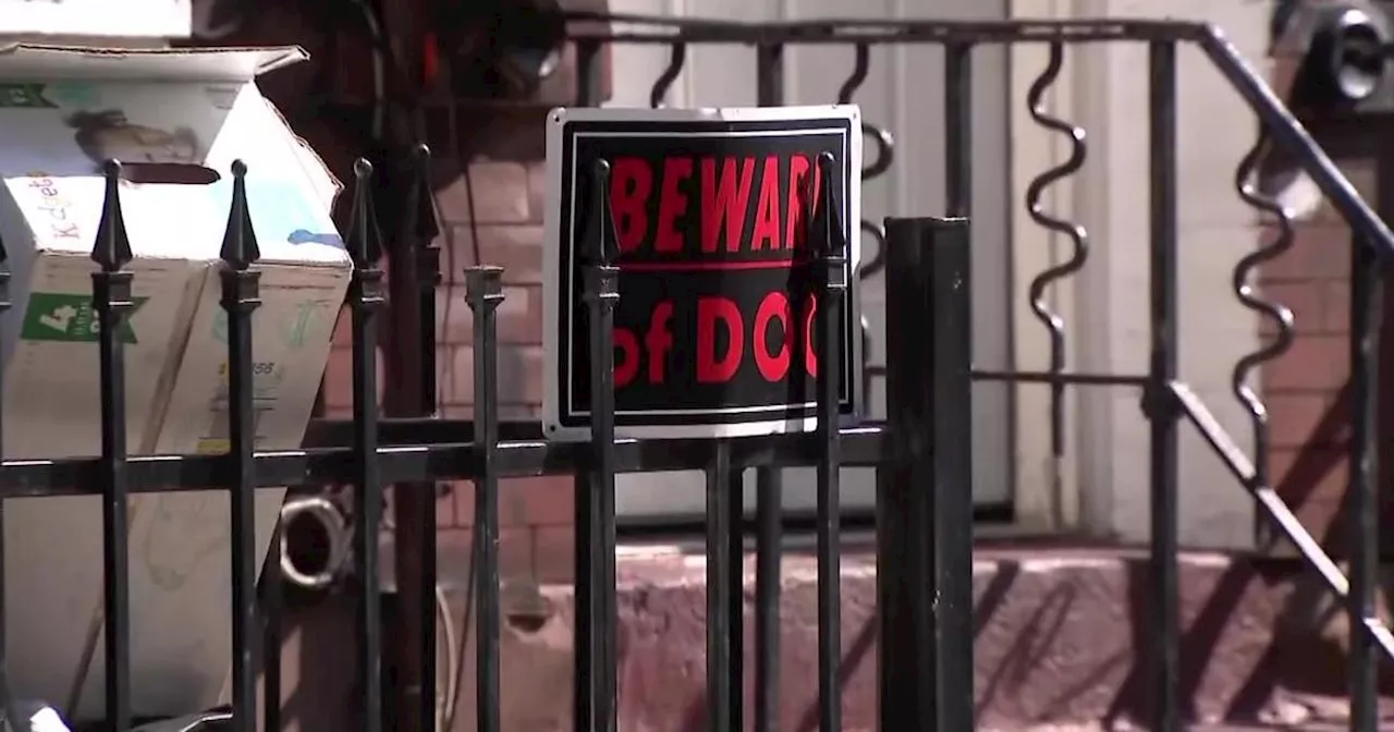 Child dies after being attacked by dog in Newark, N.J.