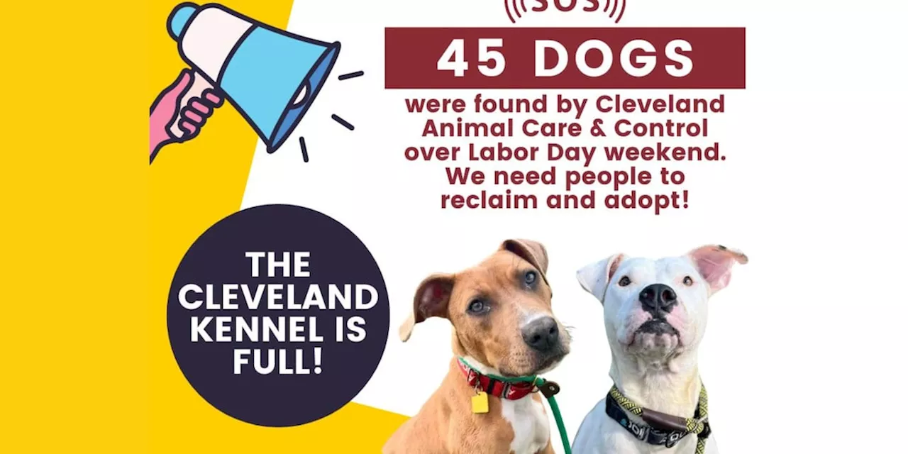 ‘SOS’: Cleveland kennel ‘VERY FULL’ after 45 dogs found over Labor Day weekend