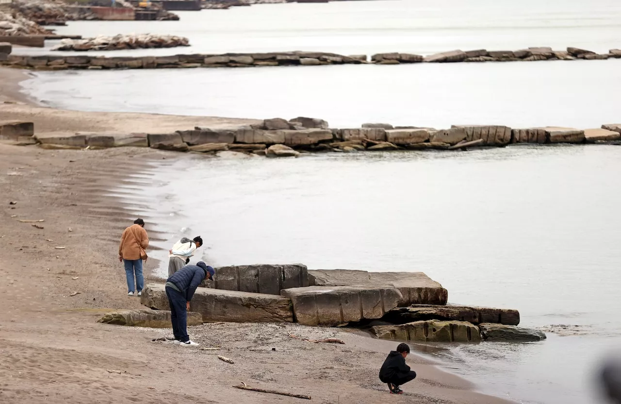 Learn about beach combing, treasure hunting in the sand at Mayfield library Sept. 7