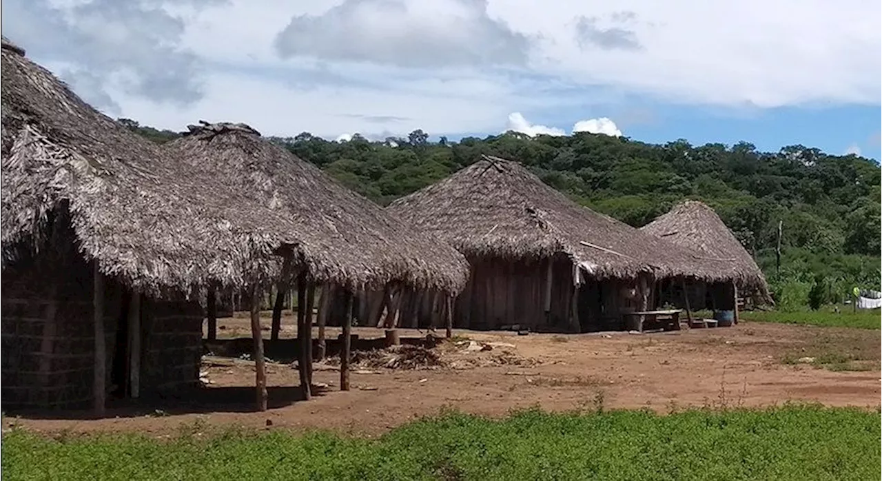 Lideranças quilombolas são alvo de conflitos por terra, aponta estudo